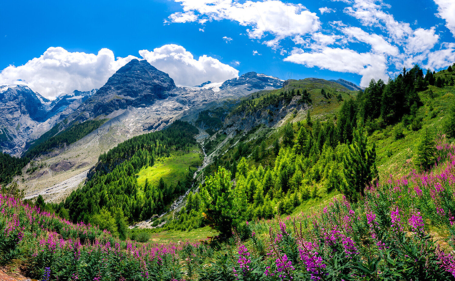Visiter le Sud-Tyrol : Beauté alpine & Dolce vita des Dolomites - 2026 - 22 - Sud-Tyrol,Tyrol du sud Sud-Tyrol,Tyrol du sud - Visiter le Sud-Tyrol : Beauté alpine & Dolce vita des Dolomites - 2026 - 21