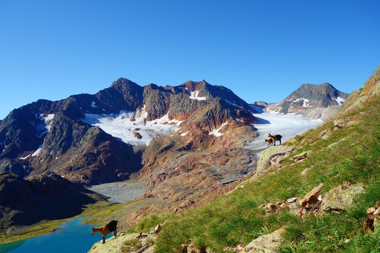 Visit Vipiteno: Best Things to Do for Your Italian Escape - 2026 - 16 - visit vipiteno visit vipiteno - Visit Vipiteno: Best Things to Do for Your Italian Escape - 2026 - 15