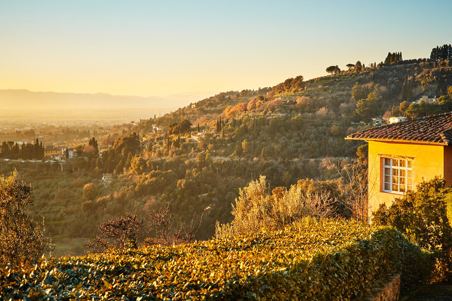 Italian Wine Regions: A Traveler's Guide to the Best Vineyards - 2026 - 3 - italy wine regions italy wine regions - Italian Wine Regions: A Traveler's Guide to the Best Vineyards - 2026 - 2