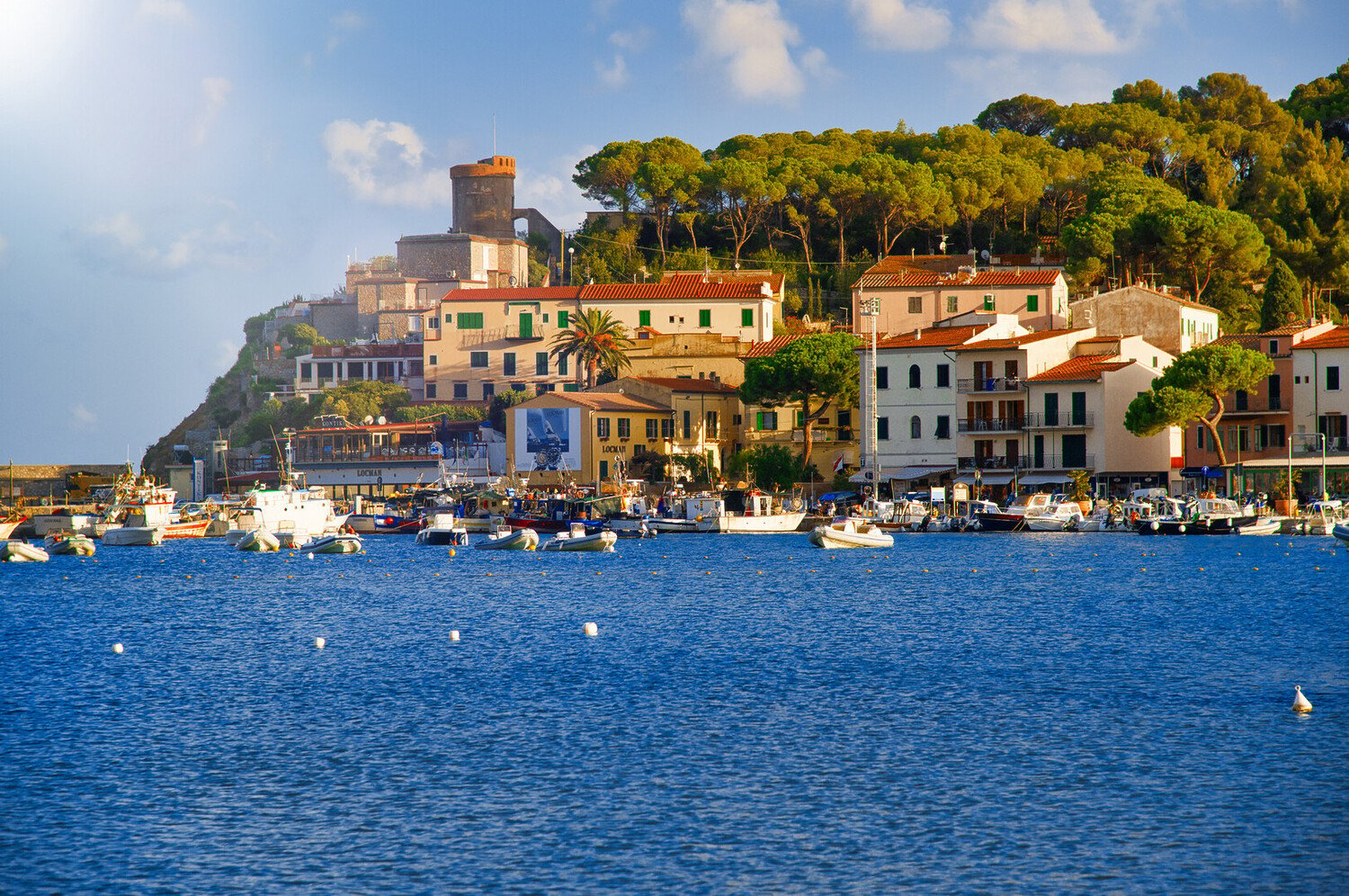 Visit Elba Island Italy: All You Must Know - 2026 - 8 - visit elba island visit elba island - Visit Elba Island Italy: All You Must Know - 2026 - 7