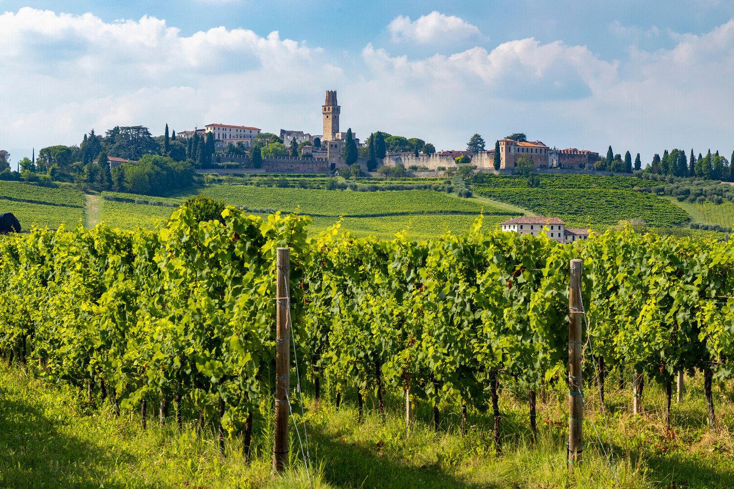 The Best Day Trips from Venice: Unforgettable Escapes - 2026 - 22 - day trips from venice day trips from venice - The Best Day Trips from Venice: Unforgettable Escapes - 2026 - 21