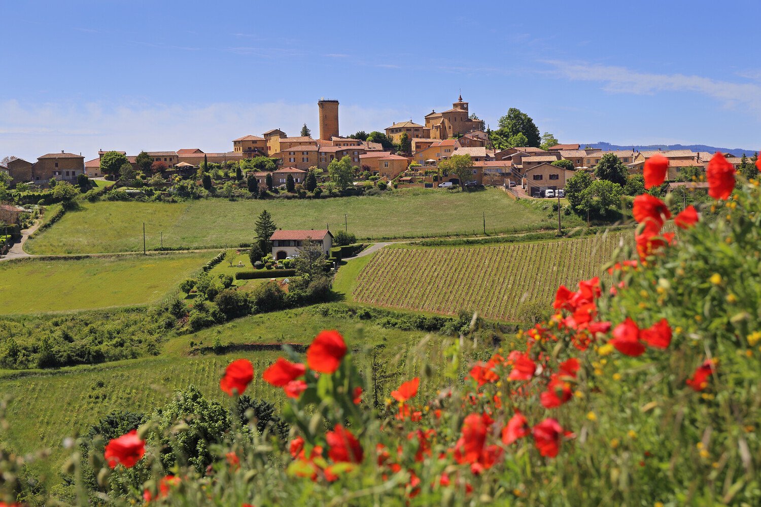 Beaujolais Wine Map: Guide to the Crus, Vineyards and Appellations - 2026 - 33 - beaujolais wine route, beaujolais wine map beaujolais wine route, beaujolais wine map - Beaujolais Wine Map: Guide to the Crus, Vineyards and Appellations - 2026 - 32