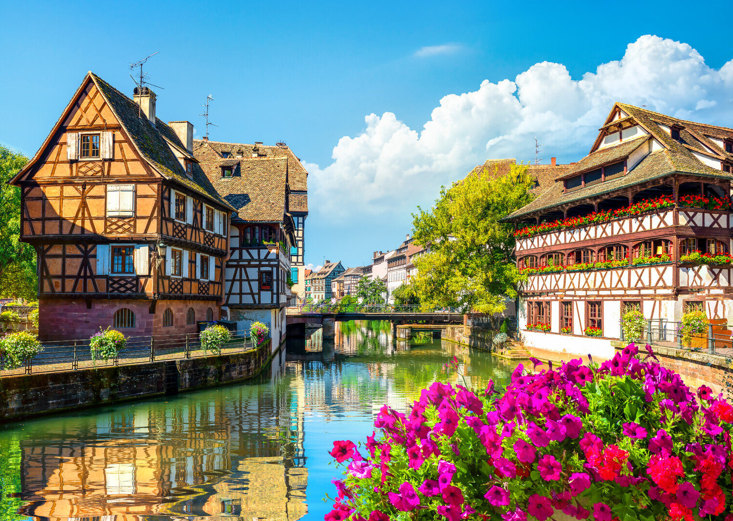 The Ultimate Guide to the Best Wine Bars Strasbourg - 2026 - 4 - wine bars strasbourg wine bars strasbourg - The Ultimate Guide to the Best Wine Bars Strasbourg - 2026 - 3