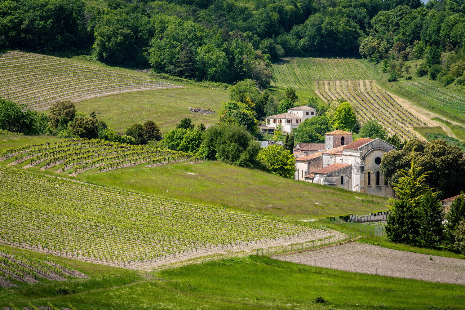 À la découverte des plus beaux villages autour de Cognac - 2026 - 14 - beaux villages autour de Cognac beaux villages autour de Cognac - À la découverte des plus beaux villages autour de Cognac - 2026 - 13