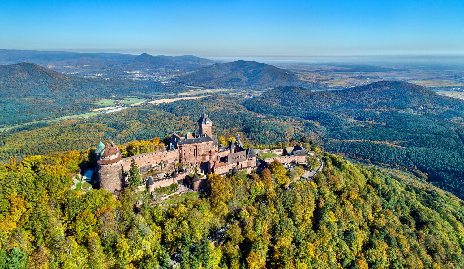 Que faire à Ribeauvillé : idées de visites pour un week-end en Alsace - 2026 - 21 - que faire à ribeauvillé que faire à ribeauvillé - Que faire à Ribeauvillé : idées de visites pour un week-end en Alsace - 2026 - 20