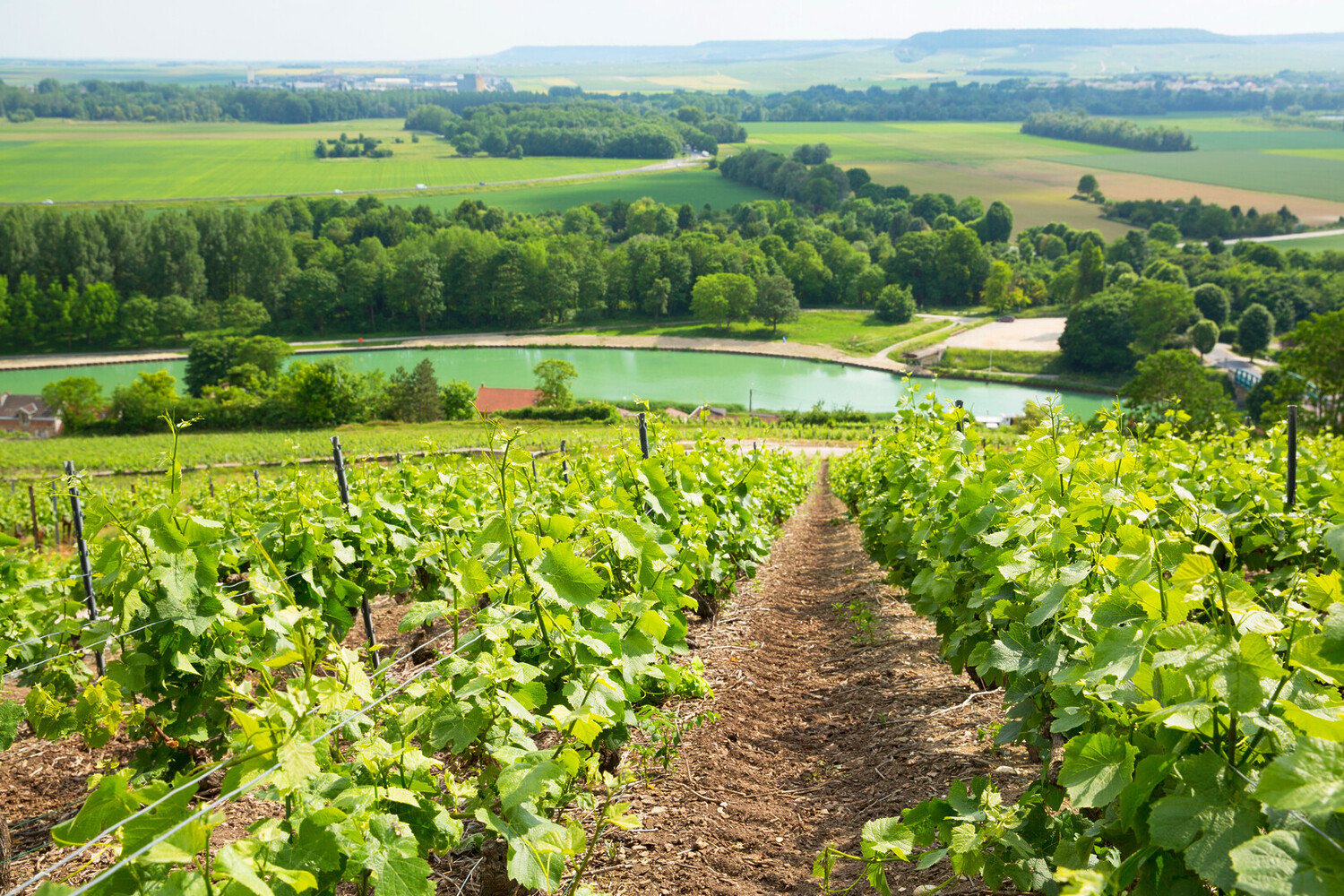 Visiter Reims en 2 jours : Le guide des incontournables - 2026 - 17 - visiter reims en 2 jours visiter reims en 2 jours - Visiter Reims en 2 jours : Le guide des incontournables - 2026 - 16