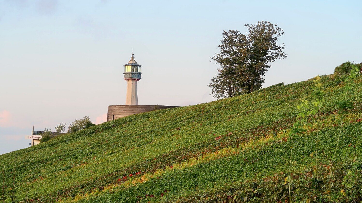 Our guide to the best things to do in Champagne, France - 2026 - 48 - things to do in champagne france things to do in champagne france - Our guide to the best things to do in Champagne, France - 2026 - 47