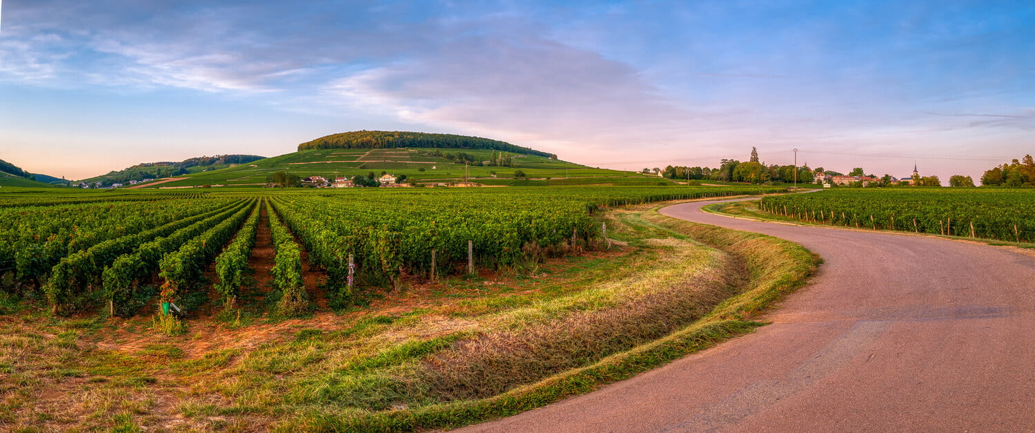Visiter la Bourgogne en voiture : Road trip sur la route des grands crus - 2026 - 2 - visiter la bourgogne en voiture visiter la bourgogne en voiture - Visiter la Bourgogne en voiture : Road trip sur la route des grands crus - 2026 - 1
