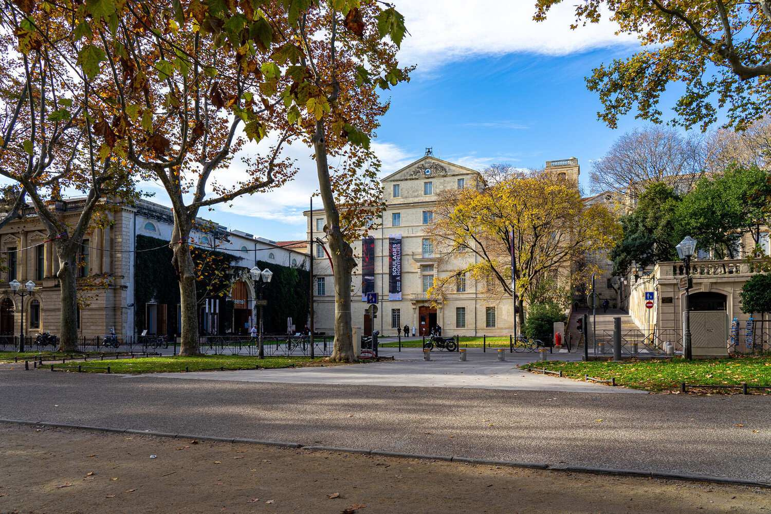 Discover the best things to do in Montpellier: The travel guide - 2026 - 7 - things to do in montpellier france things to do in montpellier france - Discover the best things to do in Montpellier: The travel guide - 2026 - 6