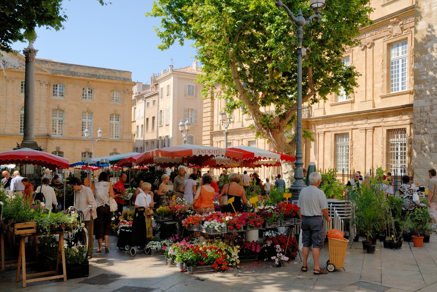 Visiter Toulon : sa rade, le musée national de la marine et sa rue des arts - 2026 - 16 - visiter toulon visiter toulon - Visiter Toulon : sa rade, le musée national de la marine et sa rue des arts - 2026 - 15