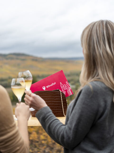 The 10 best gifts for a wine lover! - 2026 - 31 - - The 10 best gifts for a wine lover! - 2026 - 30