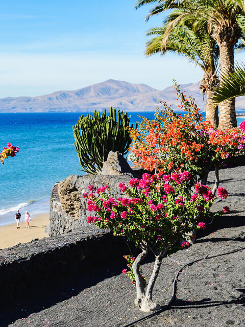 - Top Things to Do in Puerto del Carmen for Sun-Soaked Days - 2026 - 9