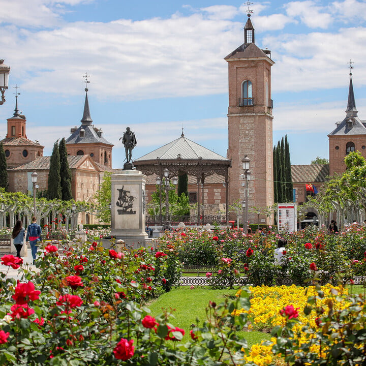 Visiter Alcalá de Henares : Sur les traces de Cervantes - 2026 - 8 - - Visiter Alcalá de Henares : Sur les traces de Cervantes - 2026 - 7