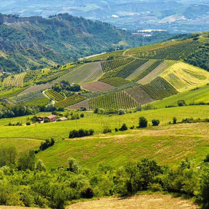 Gita fuori porta Bologna: i tesori nascosti dell'Emilia-Romagna - 2026 - 2 - gita fuori porta bologna gita fuori porta bologna - Gita fuori porta Bologna: i tesori nascosti dell'Emilia-Romagna - 2026 - 1