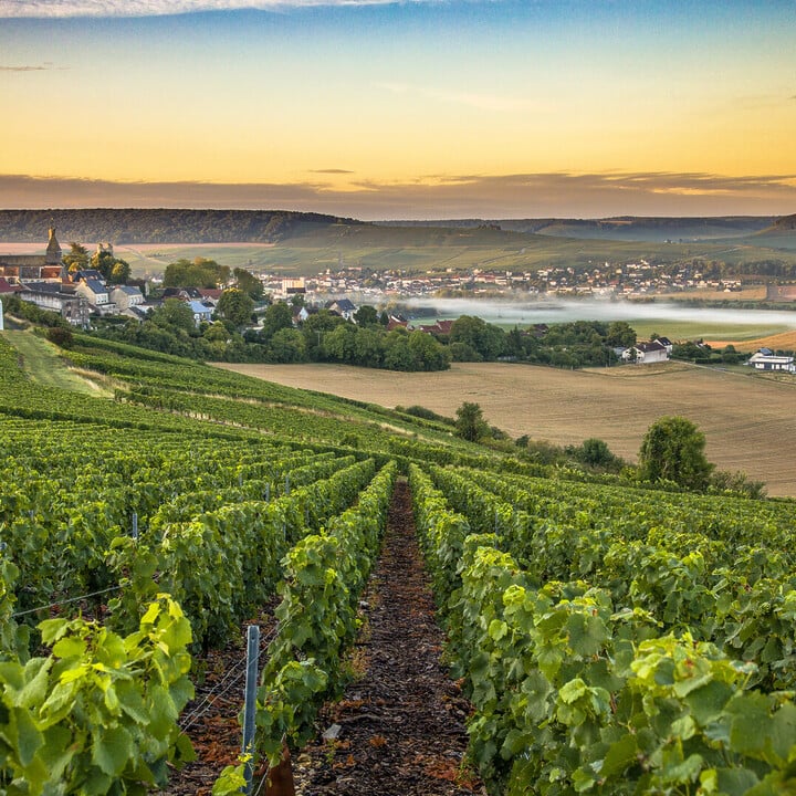 La Route du Champagne : Le meilleure circuit pour découvrir la région - 2026 - 10 - - La Route du Champagne : Le meilleure circuit pour découvrir la région - 2026 - 9