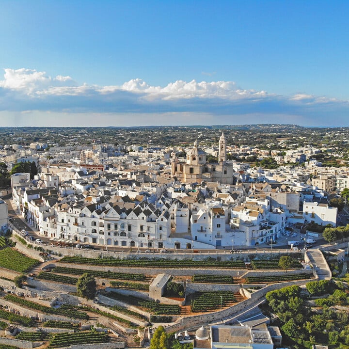 Visiter Martina Franca : Perle baroque de la province de Taranto - 2026 - 12 - - Visiter Martina Franca : Perle baroque de la province de Taranto - 2026 - 11