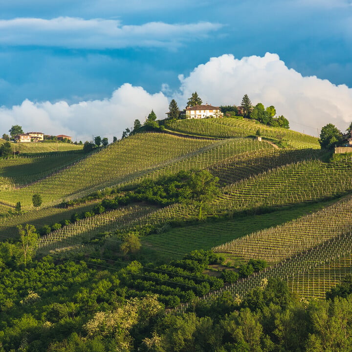Best Town to Stay in Piedmont Italy During Your Trip - 2026 - 6 - - Best Town to Stay in Piedmont Italy During Your Trip - 2026 - 5