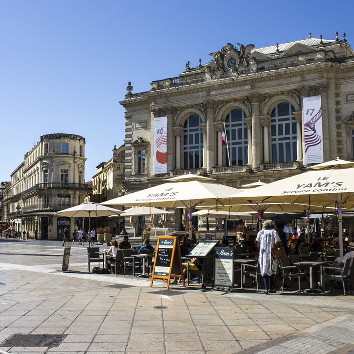 Bar à vin Montpellier : Dégustation en centre-ville - 2026 - 18 - sejour biarritz sejour biarritz - Bar à vin Montpellier : Dégustation en centre-ville - 2026 - 17