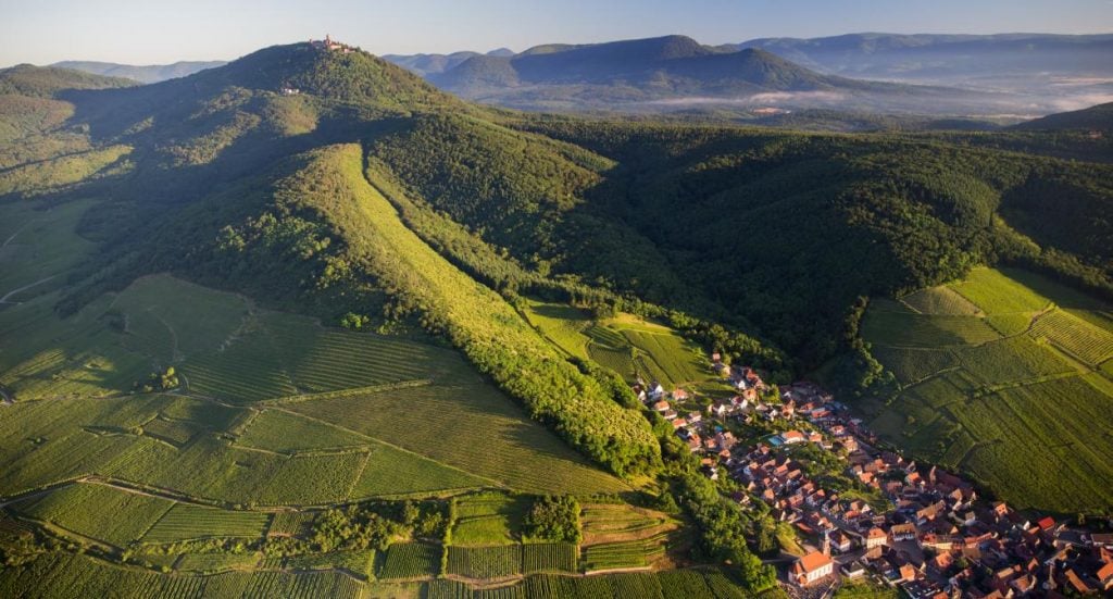 Best places to visit in Europe for wine lovers - 2026 - 6 - best places to visit in europe, best wine regions in the world, best wine countries in the world, european wine vacation, wine trips in europe alsace_vineyard_orschwillercvuano-conseilvinsalsace_1-1024x551