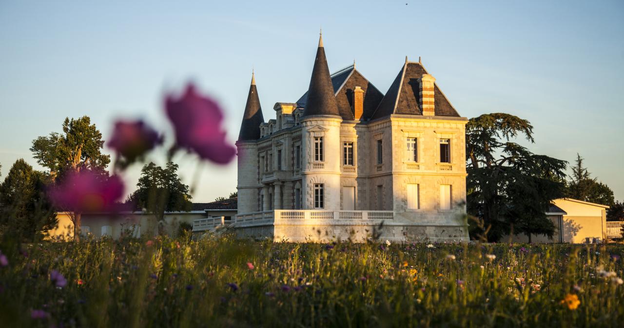 Cosa vedere a Bordeaux e dintorni - 2026 - 11 - cosa vedere a bordeaux,itinerario bordeaux,regione bordeaux Bordeaux vous accueille à bras ouverts, le tout à moins de 2h de Paris