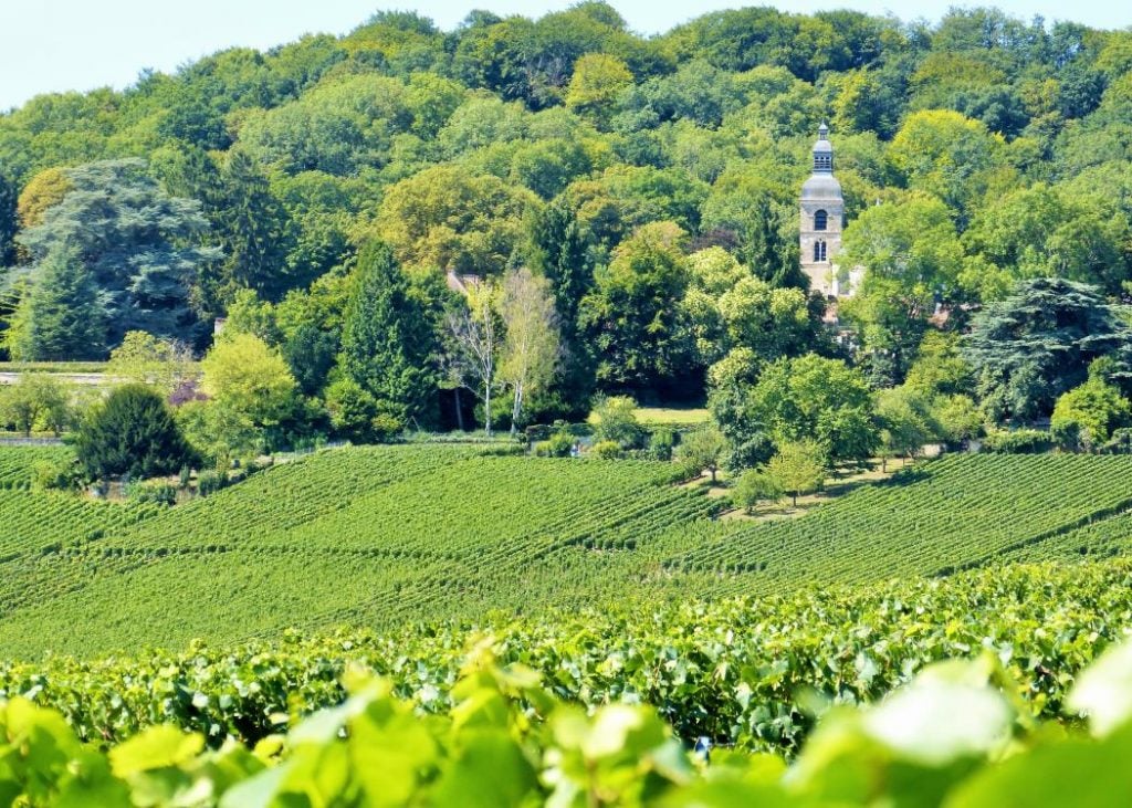 Cosa vedere a Épernay: Migliori Esperienze nella Capitale dello Champagne - 2026 - 32 - cosa vedere a epernay,visitare epernay cosa vedere a epernay,visitare epernay - Cosa vedere a Épernay: Migliori Esperienze nella Capitale dello Champagne - 2026 - 31