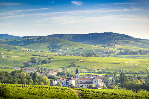 Best places to visit in Europe for wine lovers - 2026 - 2 - best places to visit in europe, best wine regions in the world, best wine countries in the world, european wine vacation, wine trips in europe best places to visit in Europe