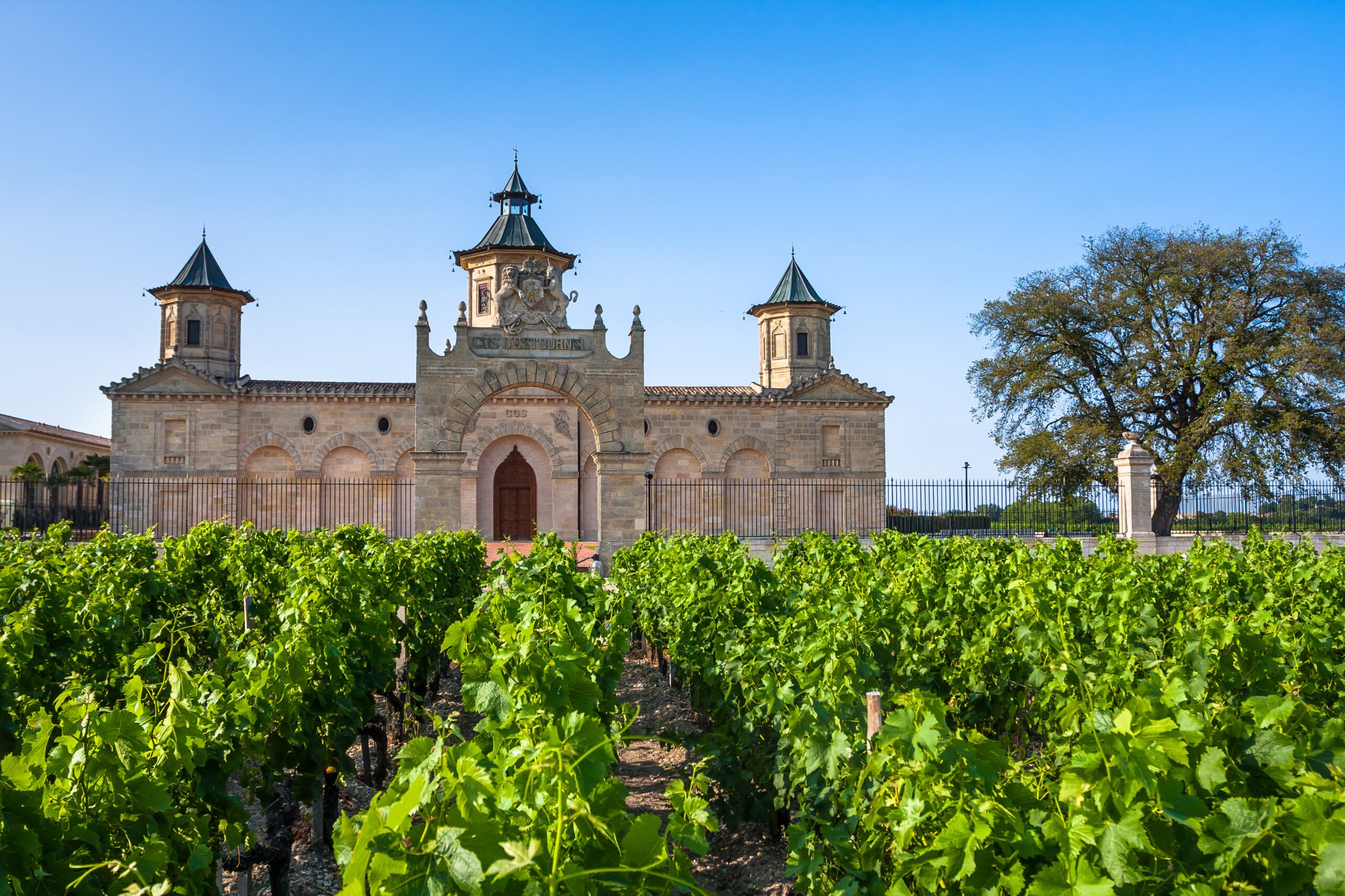 Discover the Best French Wine Regions to Visit - 2026 - 5 - french wine regions bordeaux vineyards