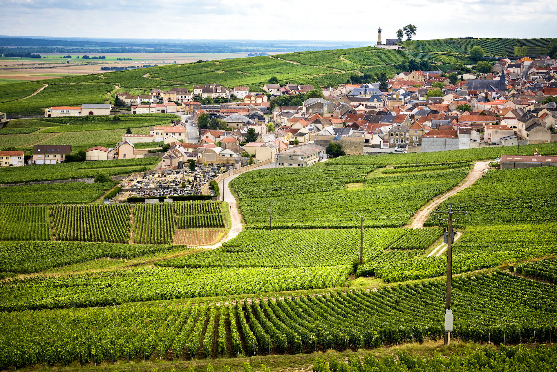 Discover the Best French Wine Regions to Visit - 2026 - 4 - french wine regions champagne vineyards