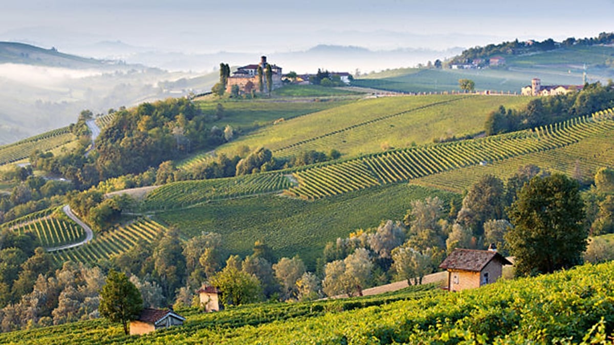 Italian Wine Regions: A Traveler's Guide to the Best Vineyards - 2026 - 1 - vignoble piémont