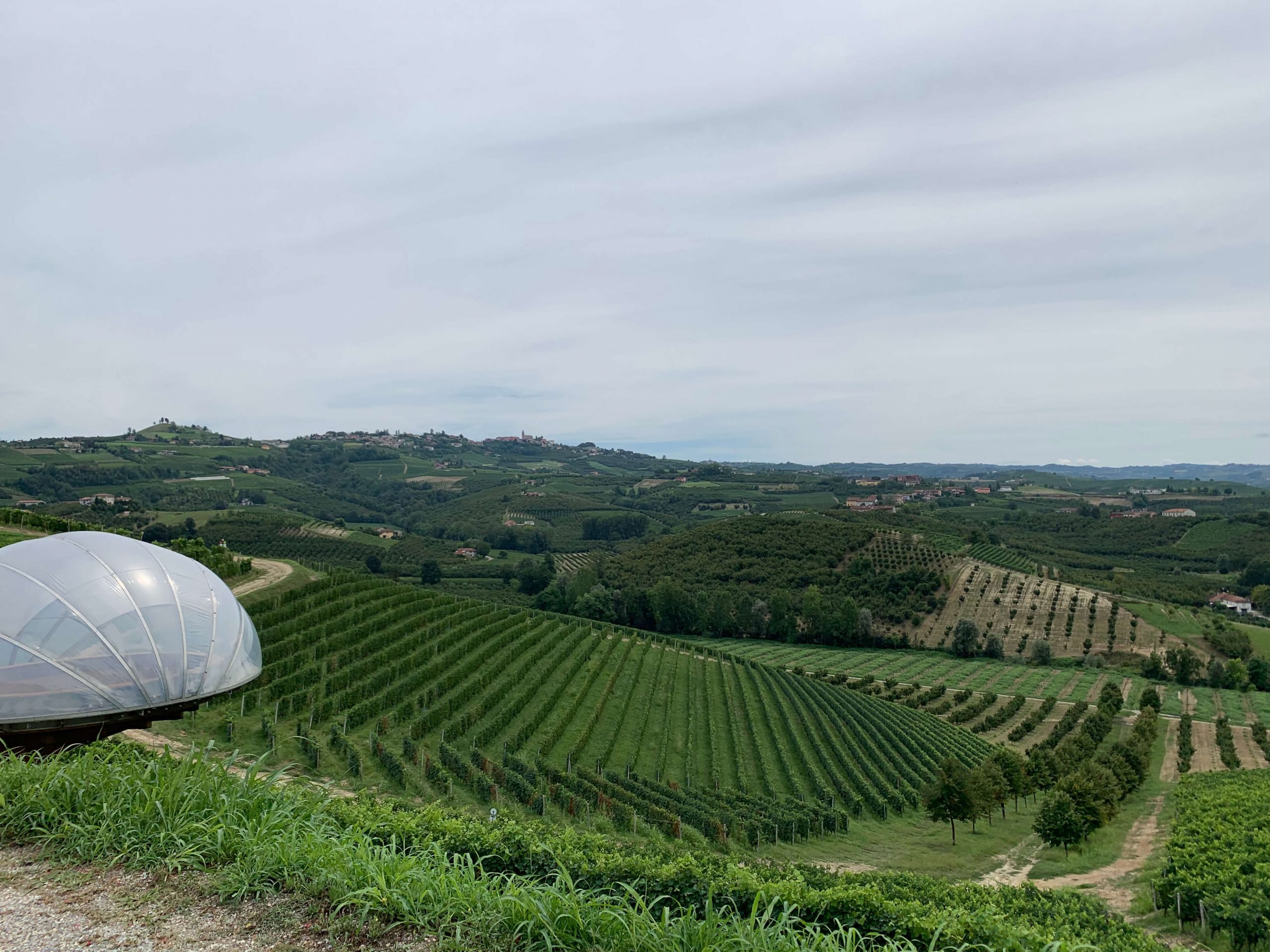 Piedmont Italy Itinerary ideas: Your travel guide to Piedmont - 2026 - 5 - piedmont italy, piedmon italy map, where is piedmont, best things to do in piedmont, Alba, la morra, Barolo, piedmont things to do Les vignes du domaine Ceretto