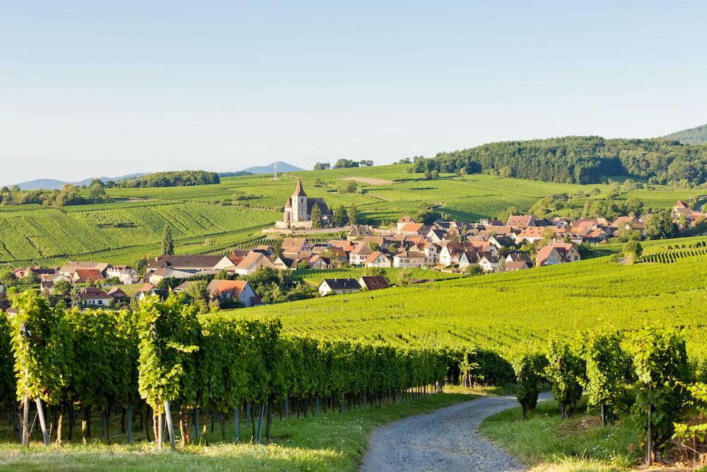 Route des vins d’Alsace : Carte et Itinéraire 3 jours - 2026 - 1 - route des vins, alsace Route des vins d'Alsace