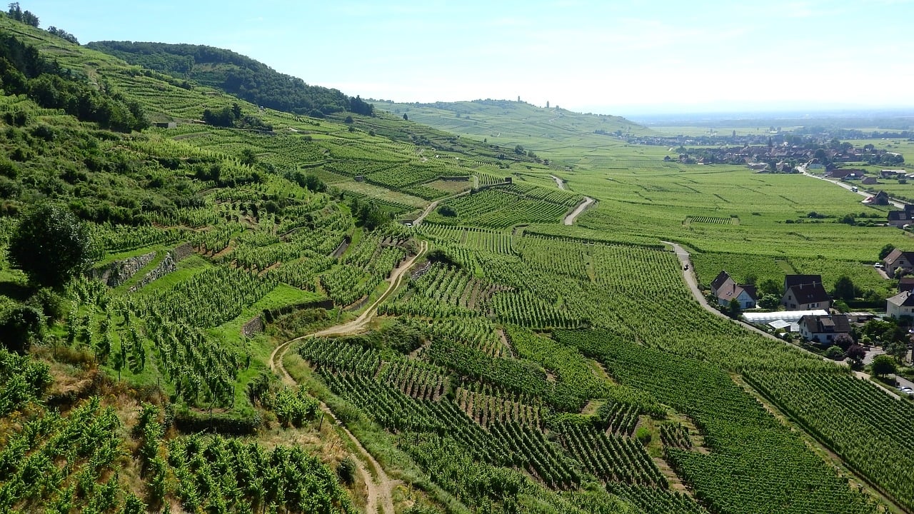Route des vins d’Alsace : Carte et Itinéraire 3 jours - 2026 - 14 - route des vins, alsace Route des vins Alsace