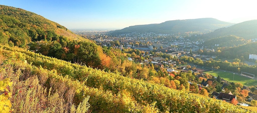 Route des vins d’Alsace : Carte et Itinéraire 3 jours - 2026 - 13 - route des vins, alsace route des vins d alsace - photo du vignoble de guebwiller