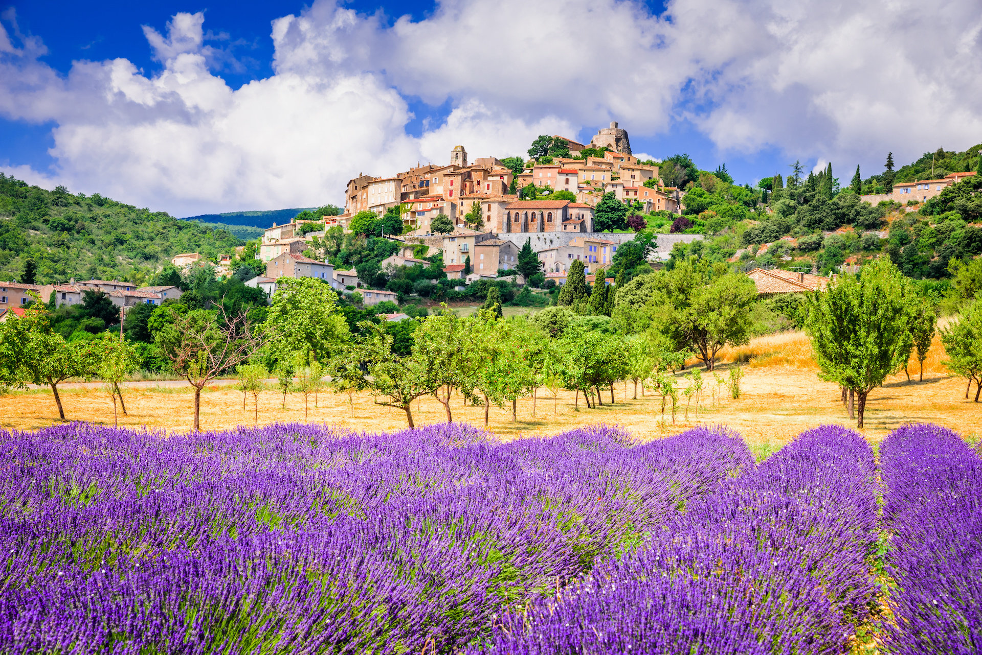 Ultimate Travel Guide for your Trip to Provence - 2026 - 2 - - Ultimate Travel Guide for your Trip to Provence - 2026 - 1
