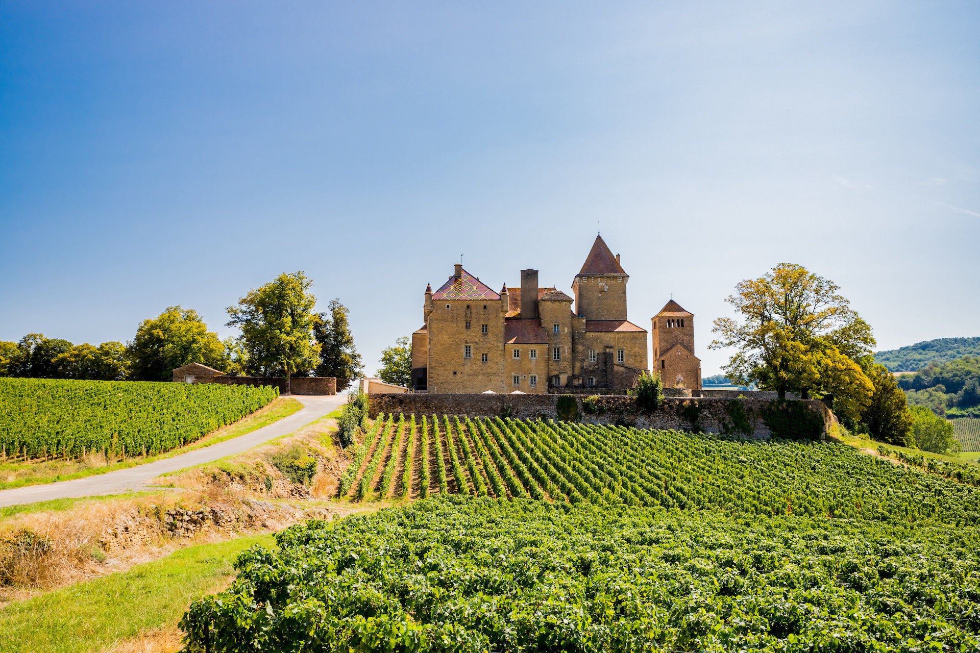 Visiter Beaune et ses incontournables : Capitale des Vins de Bourgogne - 2026 - 31 - visiter beaune Route des grands cru de Bourgogne