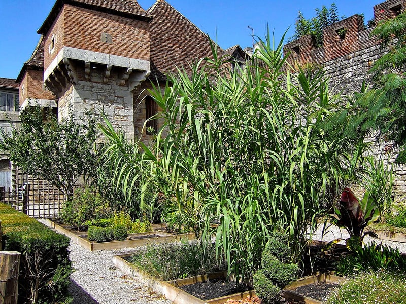 Que faire à Cahors ? Les incontournables pour visiter cette ville médiévale - 2026 - 12 - visiter cahors, que faire a cahors jardins de Cahors