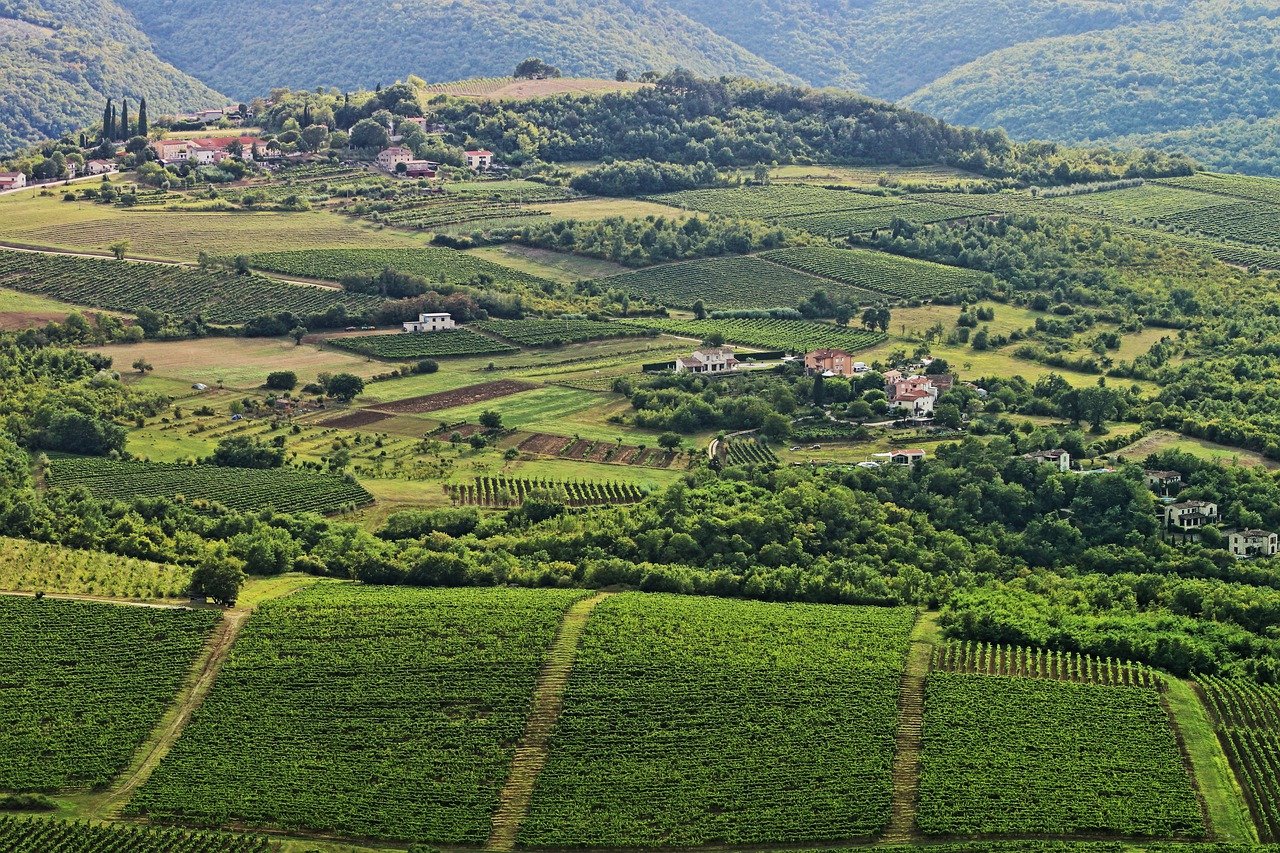 Les Routes des vins de Bordeaux : Domaines, itinéraires et cartes - 2026 - 3 - route des vins de Bordeaux Panorama sur la route des vins de bordeaux