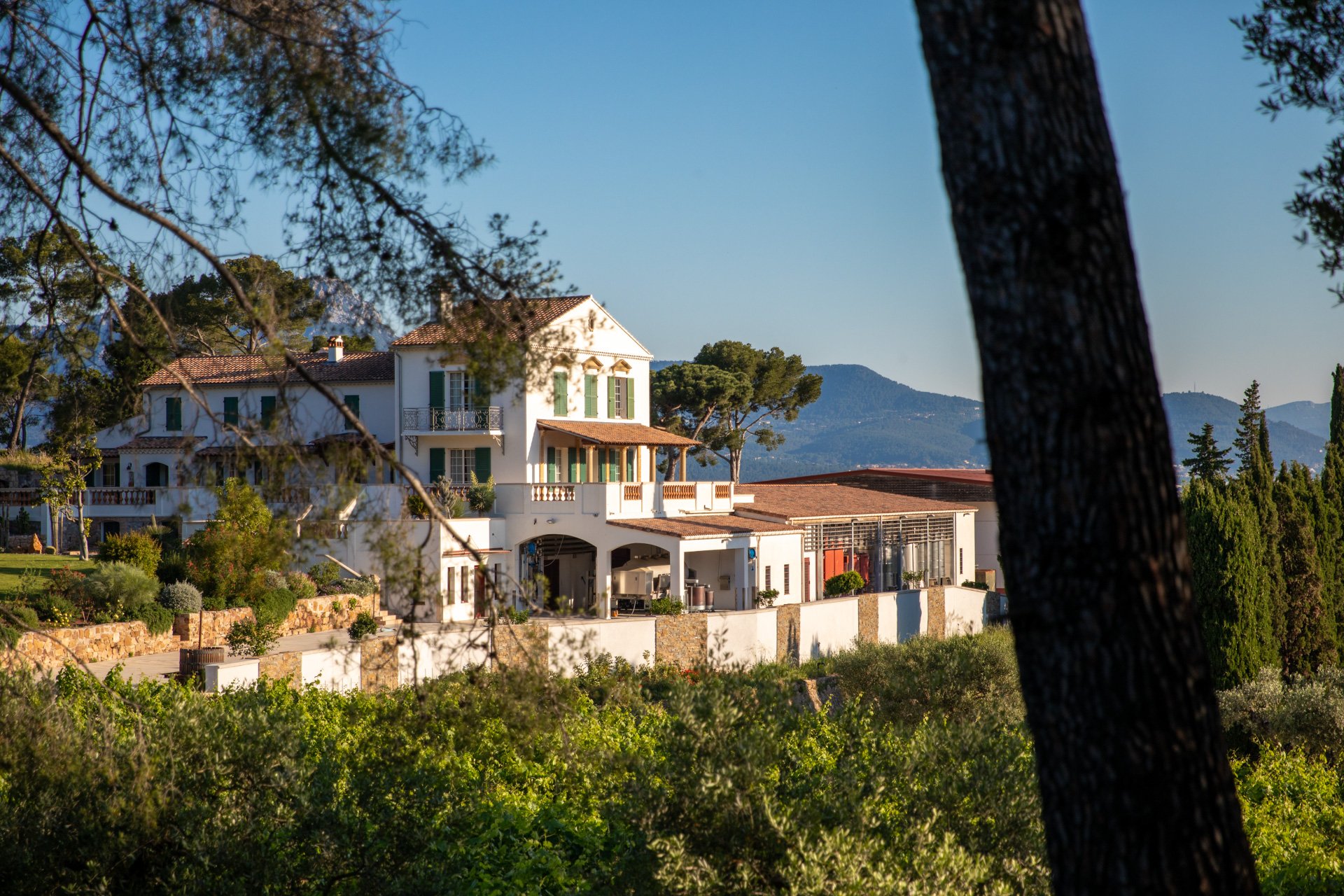 Top 10 châteaux viticoles en Provence à visiter cet été - 2026 - 2 - châteaux viticoles provence châteaux viticoles provence - Top 10 châteaux viticoles en Provence à visiter cet été - 2026 - 1