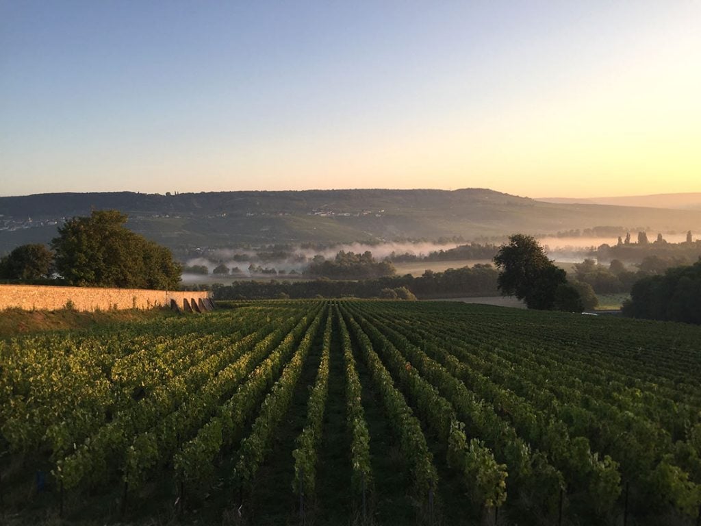 Cosa vedere a Épernay: Migliori Esperienze nella Capitale dello Champagne - 2026 - 30 - cosa vedere a epernay,visitare epernay cosa vedere a epernay,visitare epernay - Cosa vedere a Épernay: Migliori Esperienze nella Capitale dello Champagne - 2026 - 29