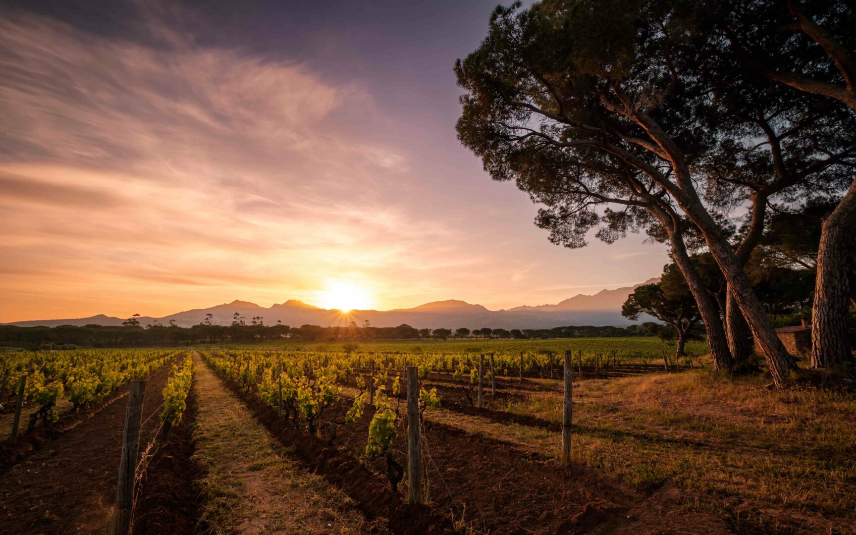 Cosa vedere in Corsica: guida alle migliori attrazioni dell'isola - 2026 - 5 - gita fuori porta bologna Couché de soleil en corse