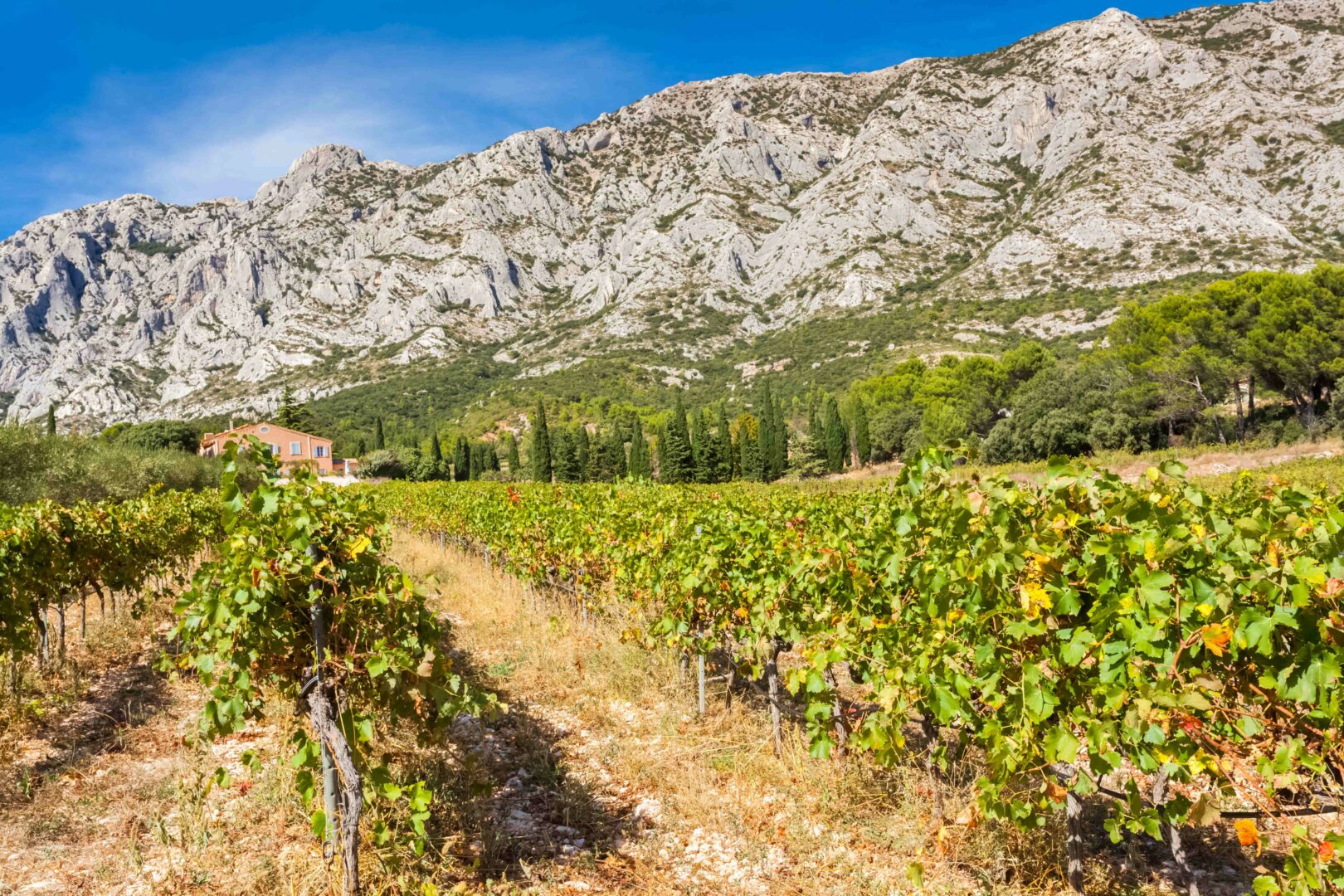 Ultimate Travel Guide for your Trip to Provence - 2026 - 11 - trip to provence, gordes, trip to provence france, provence lavender fields, provence village Vignoble d'aix-en-provence