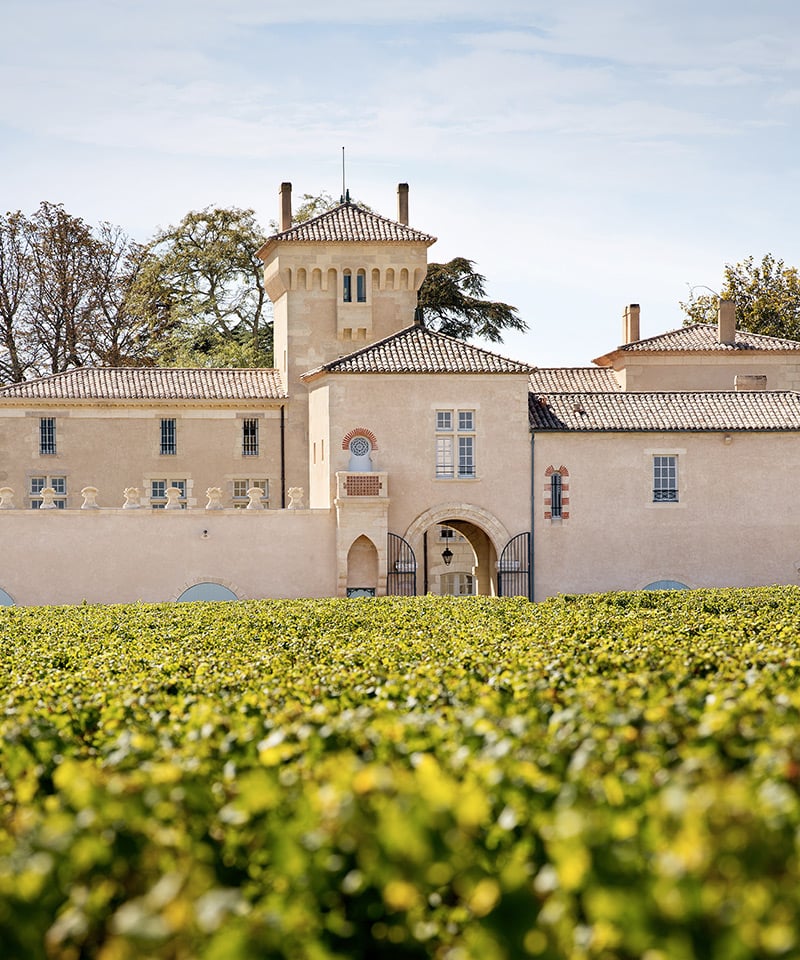 Alla scoperta delle migliori regioni vinicole francesi - 2026 - 6 - regioni vinicole francesi regioni vinicole francesi - Alla scoperta delle migliori regioni vinicole francesi - 2026 - 5