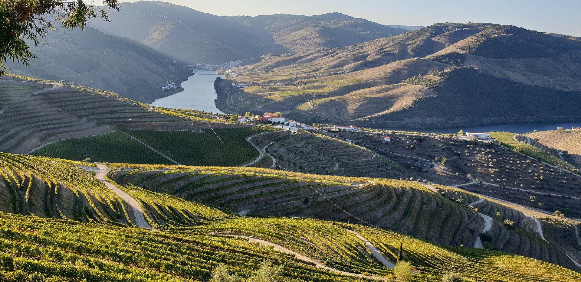 Best places to visit in Europe for wine lovers - 2026 - 12 - best places to visit in europe, best wine regions in the world, best wine countries in the world, european wine vacation, wine trips in europe best places to visit in europe, best wine regions in the world, best wine countries in the world, european wine vacation, wine trips in europe - Best places to visit in Europe for wine lovers - 2026 - 11