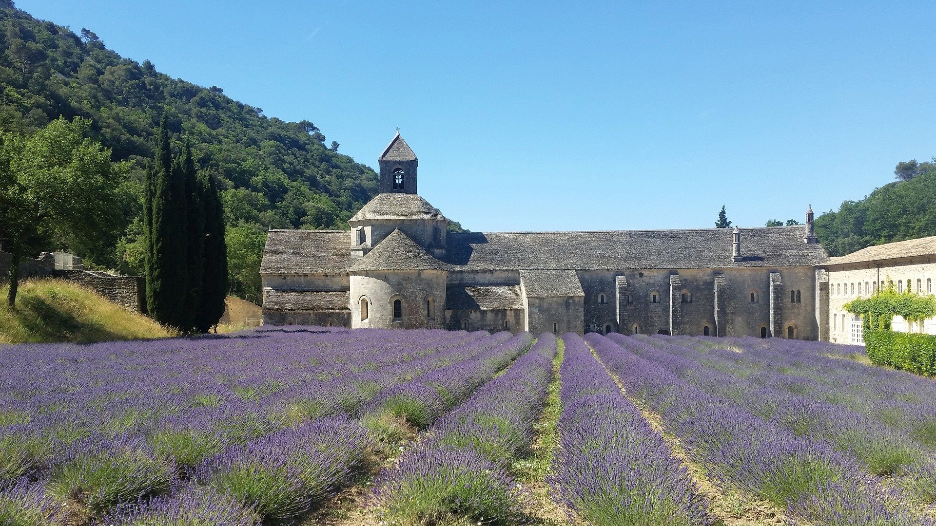 Ultimate Travel Guide for your Trip to Provence - 2026 - 10 - trip to provence, gordes, trip to provence france, provence lavender fields, provence village lavender fields in provence