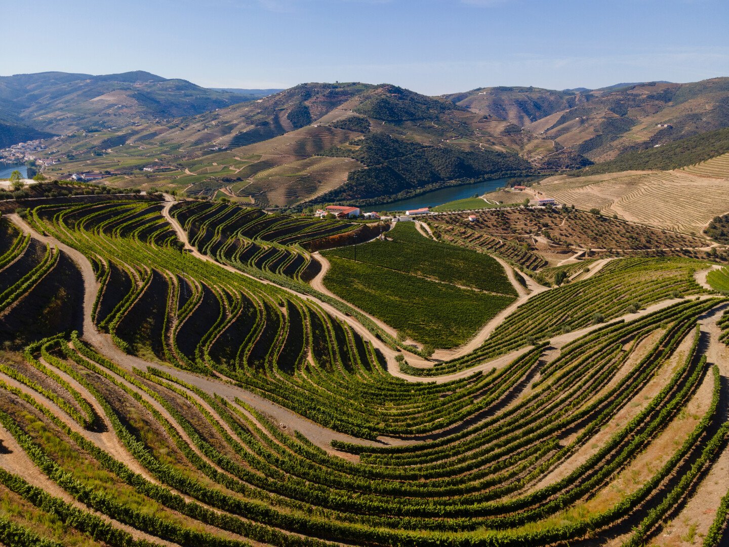 What To Do in Douro Valley ? The Ultimate Guide - 2026 - 16 - what to do in douro valley what to do in douro valley - What To Do in Douro Valley ? The Ultimate Guide - 2026 - 15