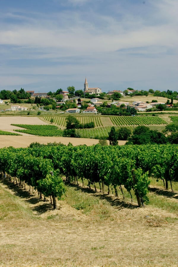 Route des vins de Gaillac : itinéraire, étapes et conseils pour visiter le vignoble - 2026 - 8 - route des vins de Gaillac route des vins de Gaillac - Route des vins de Gaillac : itinéraire, étapes et conseils pour visiter le vignoble - 2026 - 7