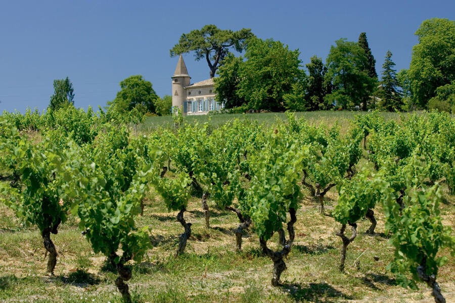 Route des vins de Gaillac : itinéraire, étapes et conseils pour visiter le vignoble - 2026 - 10 - route des vins de Gaillac route des vins de Gaillac - Route des vins de Gaillac : itinéraire, étapes et conseils pour visiter le vignoble - 2026 - 9
