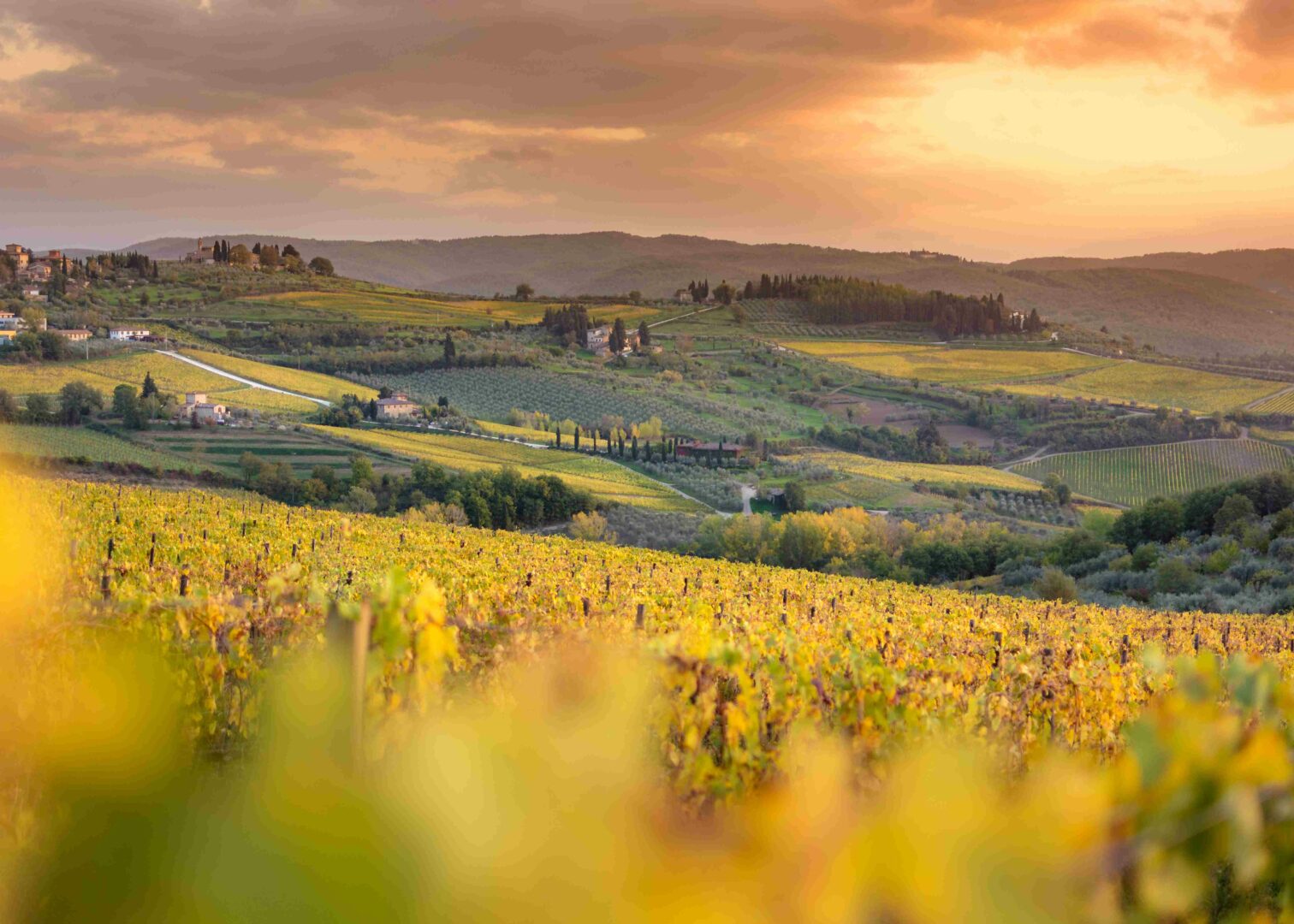 Alla scoperta delle 4 migliori strade del vino Toscana - 2026 - 2 - strade del vino toscana strade del vino toscana