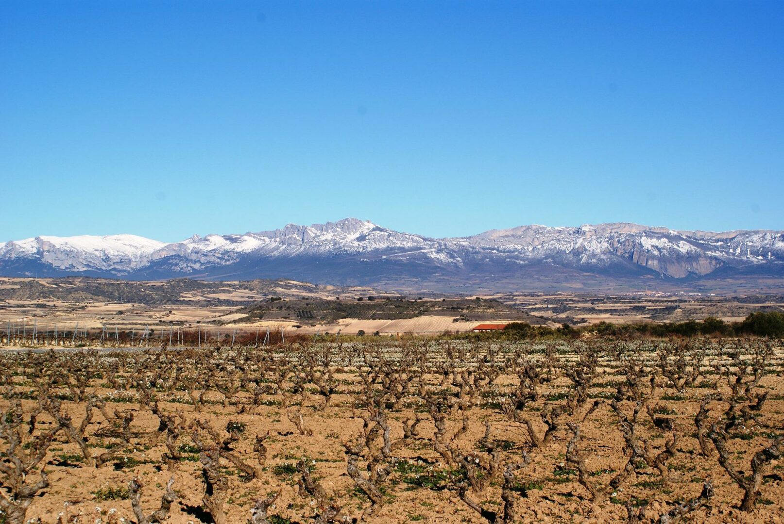 Your guide to discovering 6 best wine regions of Spain - 2026 - 5 - wine regions of spain, rioja, spain wine regions, ribera del duero wine, valencia, catalonia, andalucia wine regions of spain, rioja, spain wine regions, ribera del duero wine, valencia, catalonia, andalucia - Your guide to discovering 6 best wine regions of Spain - 2026 - 4