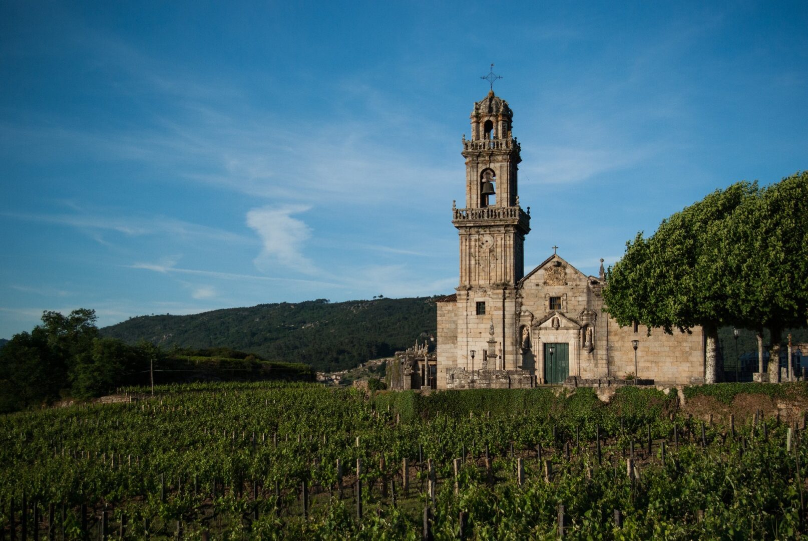 Your guide to discovering 6 best wine regions of Spain - 2026 - 11 - wine regions of spain, rioja, spain wine regions, ribera del duero wine, valencia, catalonia, andalucia wine regions of spain, rioja, spain wine regions, ribera del duero wine, valencia, catalonia, andalucia - Your guide to discovering 6 best wine regions of Spain - 2026 - 10